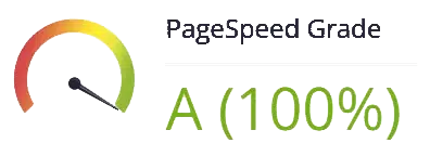 Website mit PageSpeed 100
