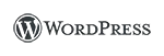 WordPress-Website-schneller-machen